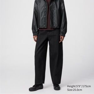 Uniqlo Barrel Pants